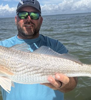 What a Red Fish Crystal River 