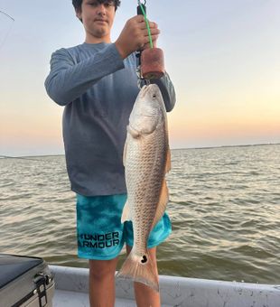 Heart shaped spot on Redfish in Texas.