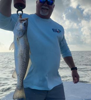 Solid Speckled Trout!