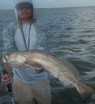 Solid speck!
