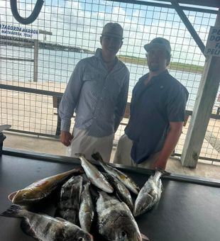 Hook into Matagorda adventure.