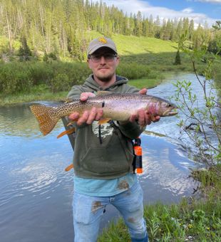 Trout Fishing In Wyoming