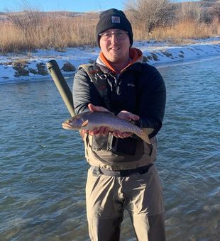 Trout Fly Fishing In Wyoming