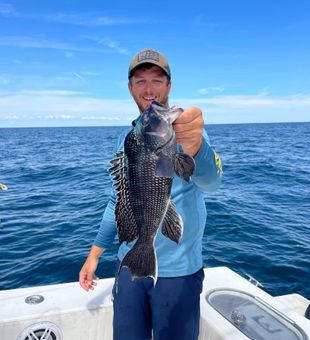 Caught Sea Bass in Belmar, NJ