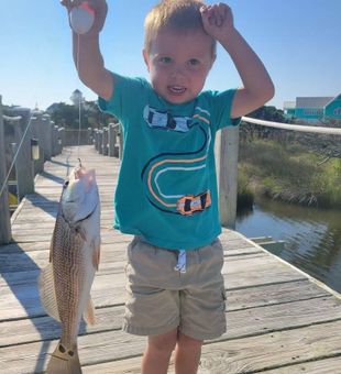 Child-Friendly charter fishing for Redfish