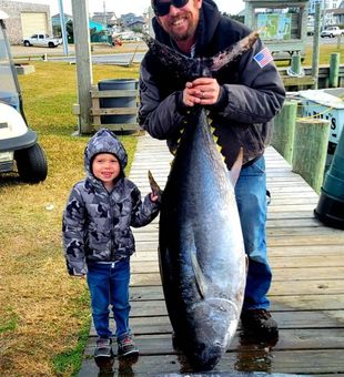 Large Yellowfin Tuna Fish from North Carolina