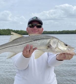 Snook Spectacle in Everglades City