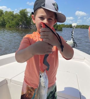 Everglades Trophy Sized Trout Capture