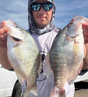 Big slab crappies! 🎣 #FishingLife