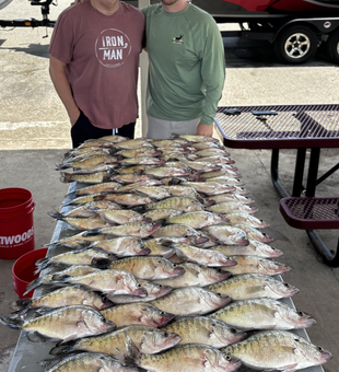 Jigging pays off with a 5-fish haul in Cleveland!