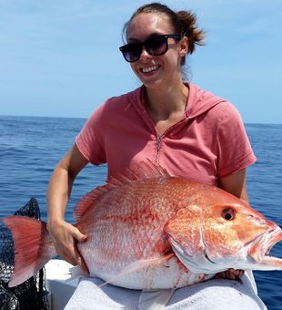 Snapper On The Line In New Smyrna