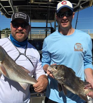 Inshore Fish Caught With Ease