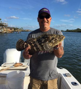 Grouper Thrills In New Smyrna Waters