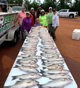 Fishing In Clarks Hill