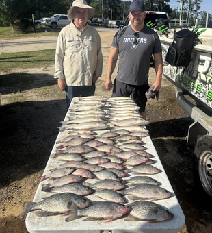 Landed a big crappie with some slick jigging skills!