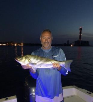 Strong striped bass night catch on a Somers Point NJ fishing charter