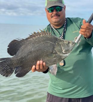 Caught this Tripletail from Corpus Christi, TX
