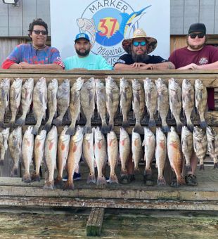 Black Drum, Redfish, and more on this day!