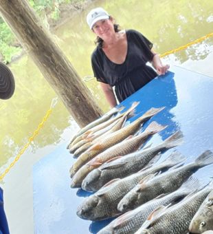 Black drum and sheepshead action in Hopedale!