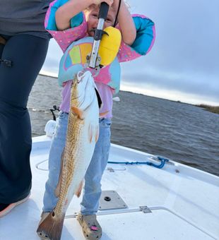 Beautiful Hopedale redfish making the day!