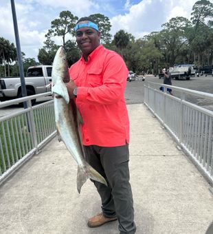 Unwinding by the water in Florida