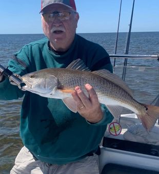 Experienced Angler reeled in Redfish in Florida