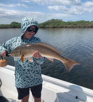 Redfish action on the flats