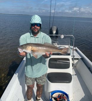 Solid redfish bite