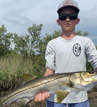 Rods bent, Snook caught, fish all around