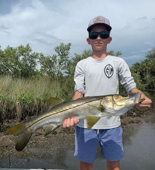 Bayport snook fishing action