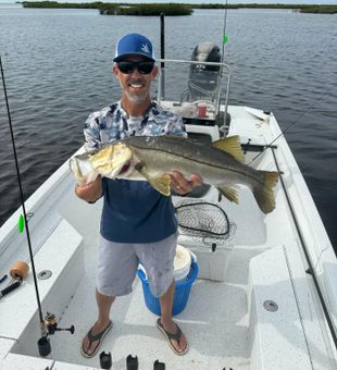 Inshore snook catch in Florida