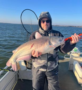 Monster Blue Catfish caught!