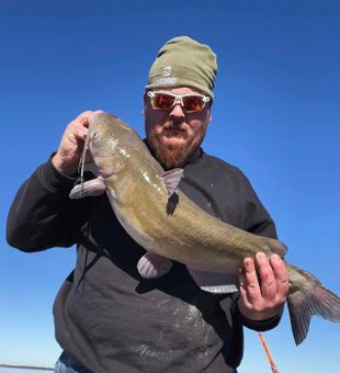 Strong Channel Catfish catch!