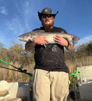Impressive Blue Catfish catch!