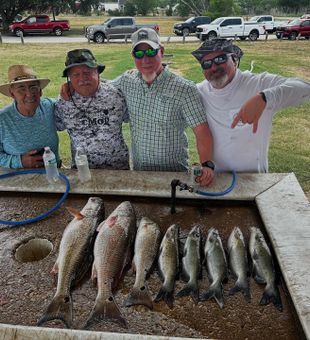 Stacked Redfish & Catfish!