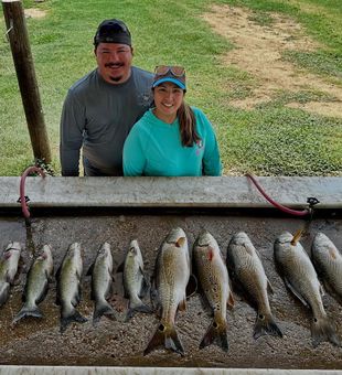 Awesome Catfish & Redfish lineup!