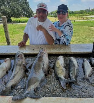 Experience some of the best freshwater fishing near San Antonio with a guided trip on Calaveras Lake, known for its healthy populations of Redfish, Catfish, and Hybrid Stripers.