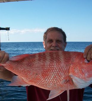 Red Snapper Catch in Port Aransas Fishing!Book Now