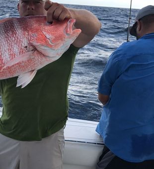 Deep Sea Fishing Port Aransas Red Snapper Catch