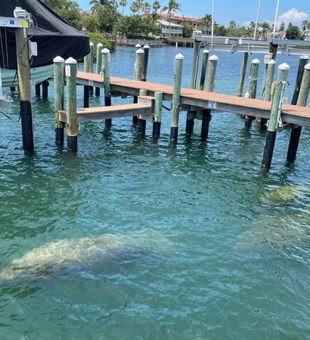 Reel in the fun at Bradenton Beach Fishing!