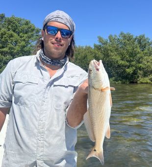 Bradenton Beach Fishing Redfish Catch! Book Now!