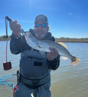 Beautiful Speckled Trout on the flats!