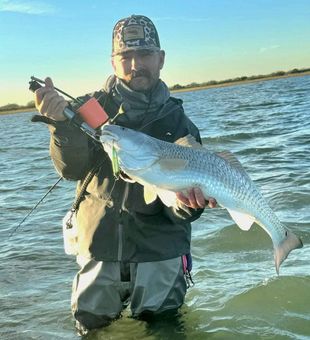 Heavy Redfish on the flats!