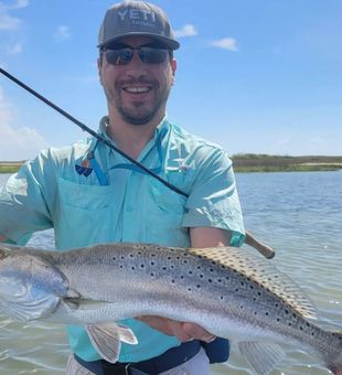 Speckled Trout: A mesmerizing dance under the sun.