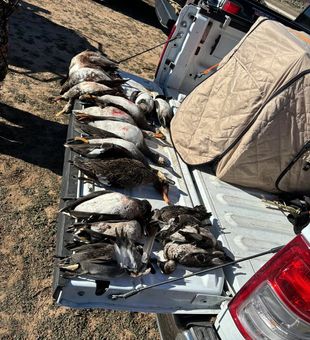 Texas hunting traditions run deep