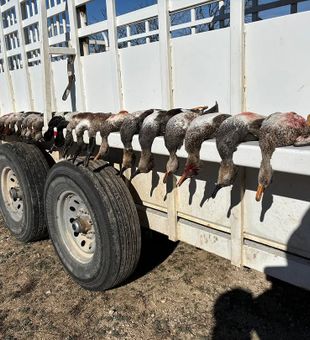 Hunting season done the Texas way