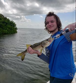 Tampa Bay snook on the line!