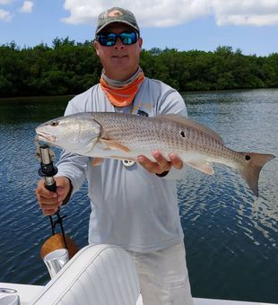 Morning bites on Tampa Bay