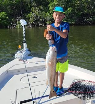 Good-sized redfish caught by this young angler today - Tampa, FL.