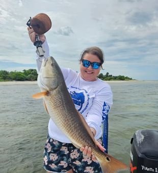 Big Red Fish! - Tampa, FL.